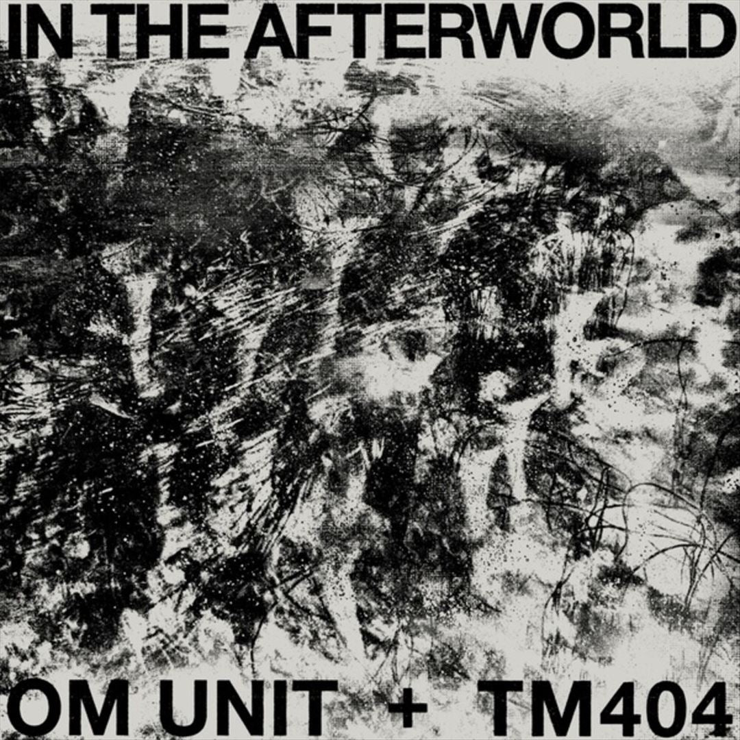 In the Afterworld cover art