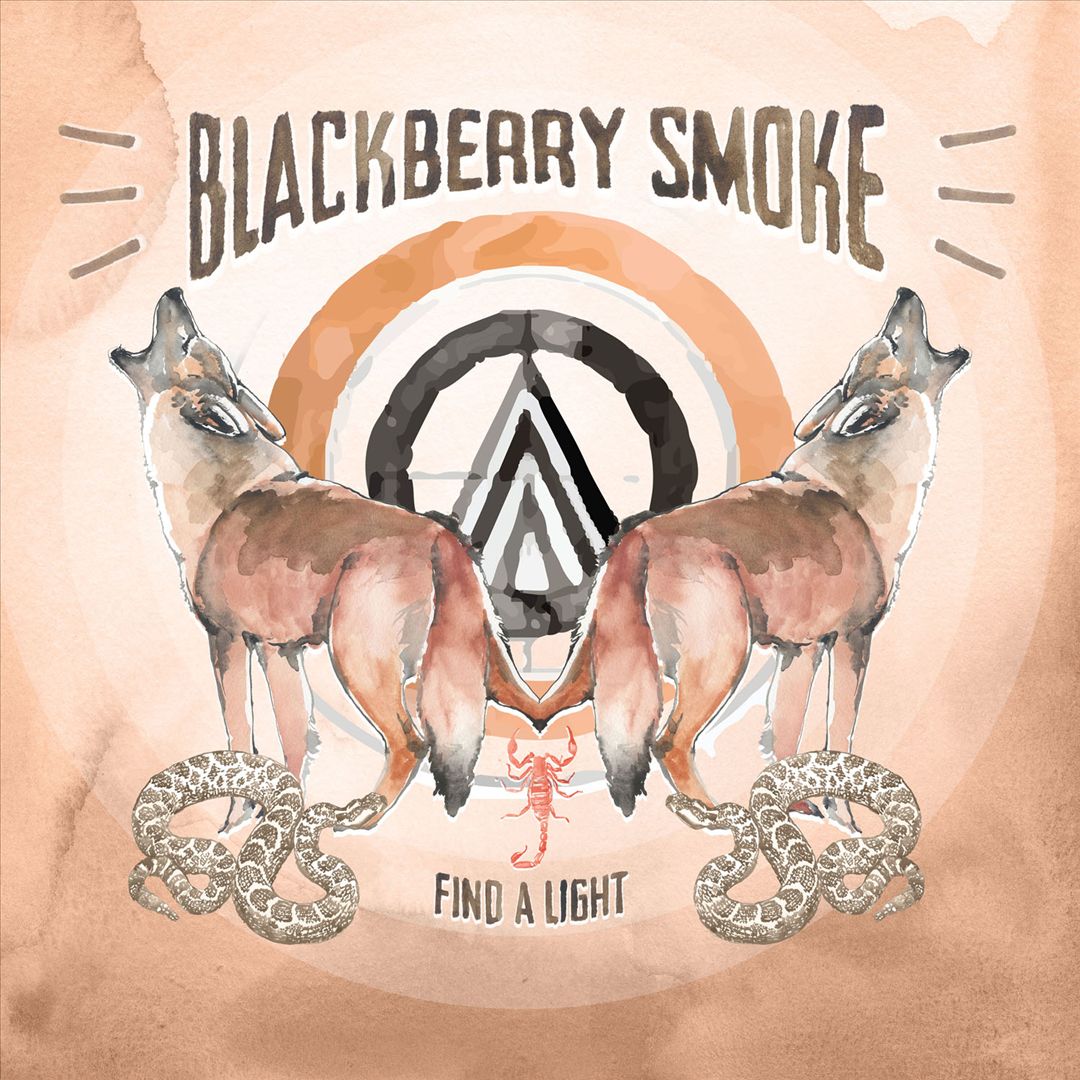 Find a Light cover art