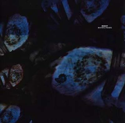 Beautiful Parasite cover art