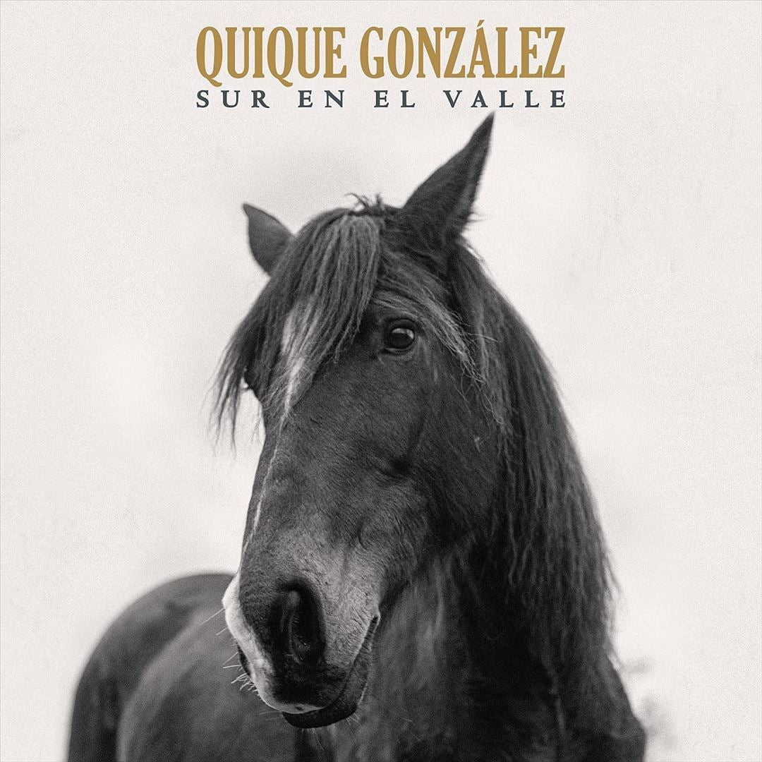 Sur en el valle cover art
