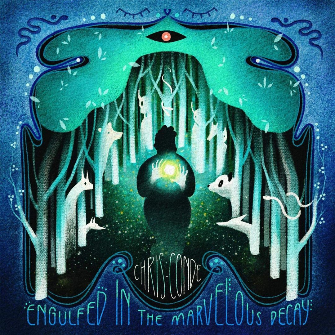Engulfed in the Marvelous Decay cover art