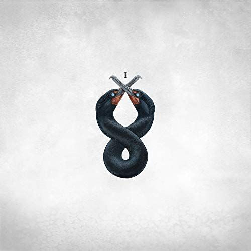 Cormorant I cover art