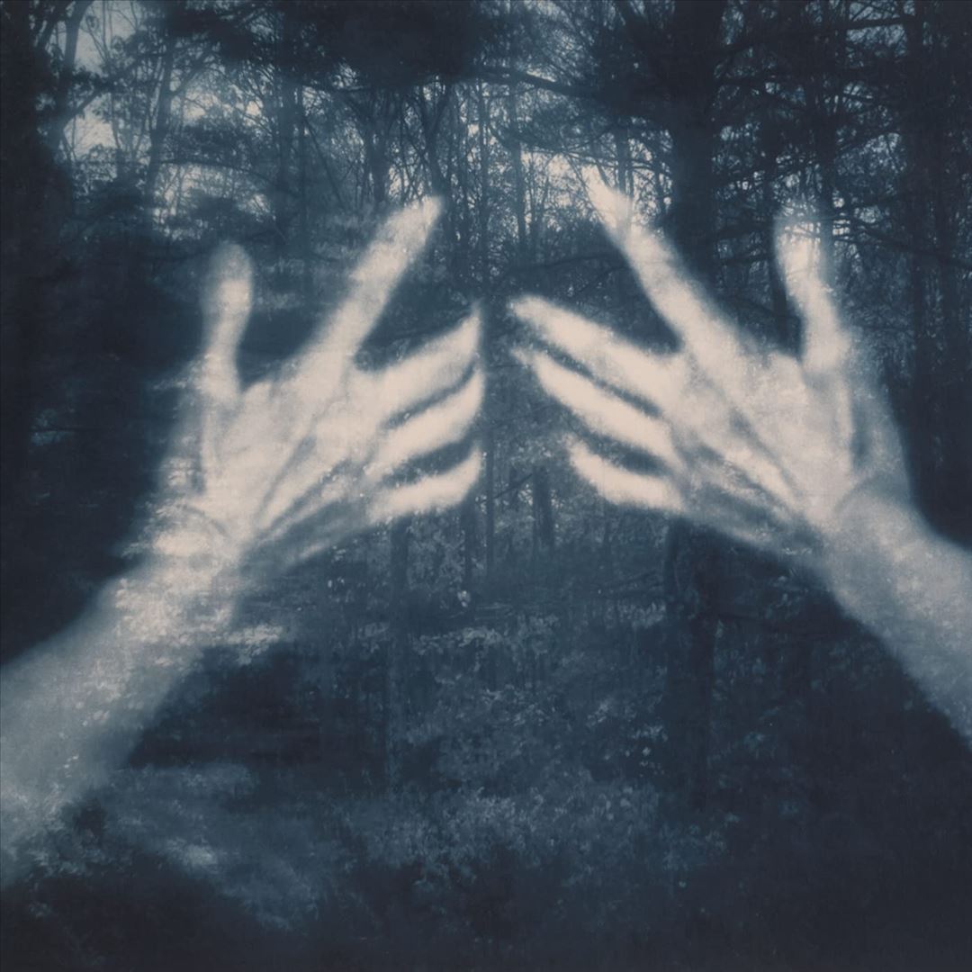 All the Birds and a Telephone Ringing cover art