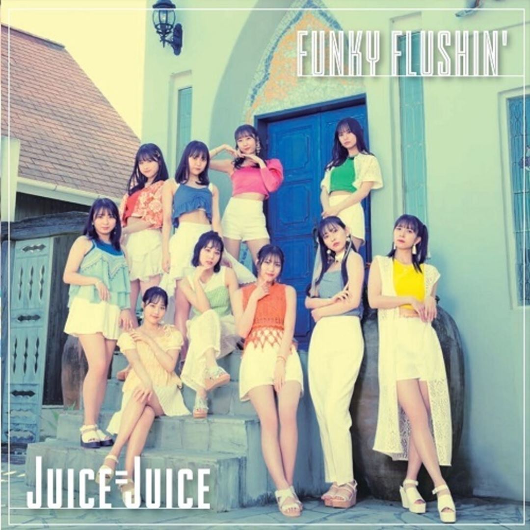 Funky Flushin' cover art