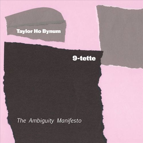 Ambiguity Manifesto cover art