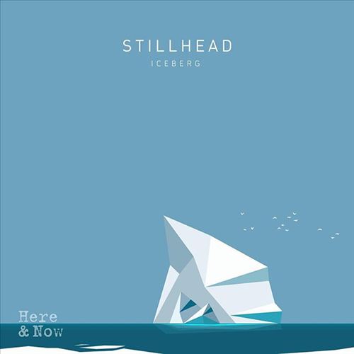 Iceberg cover art