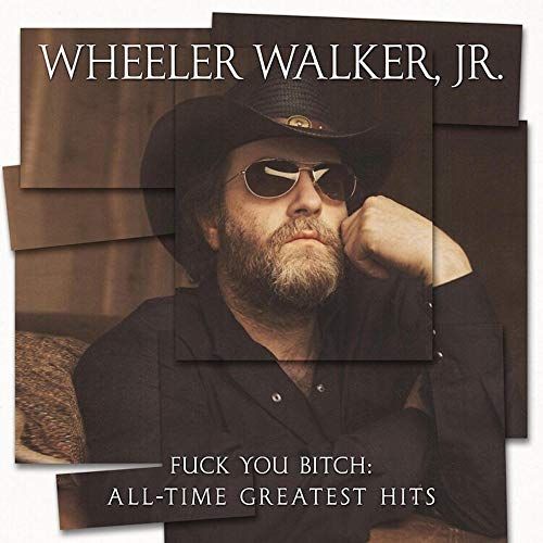 Fuck You Bitch: All-Time Greatest Hits cover art