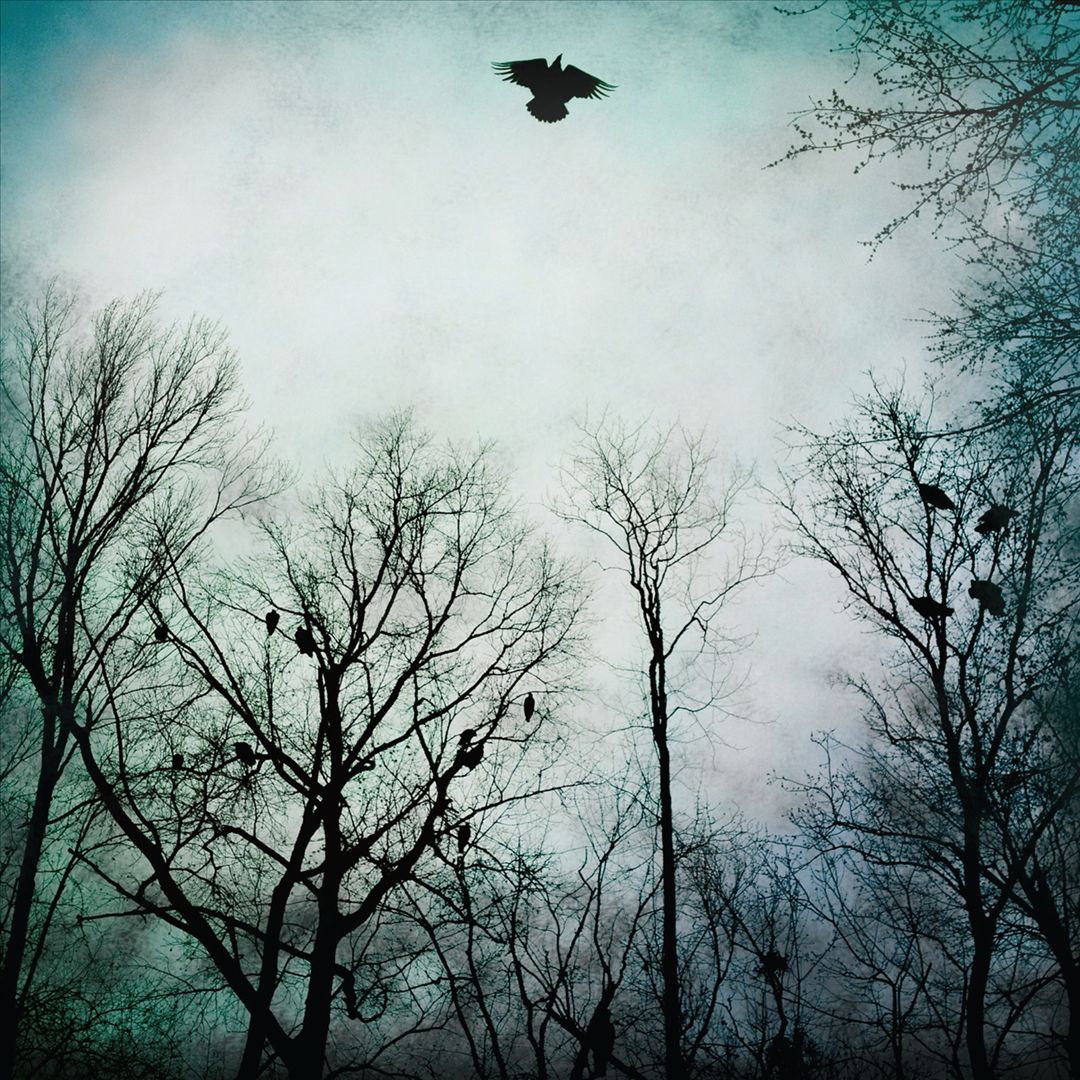 Be Given To the Soil cover art