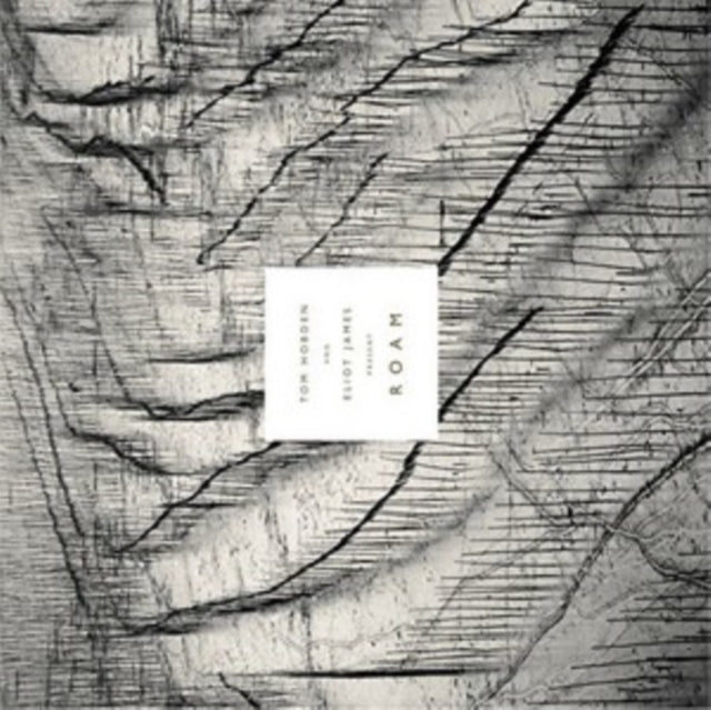 PRESENT: ROAM cover art