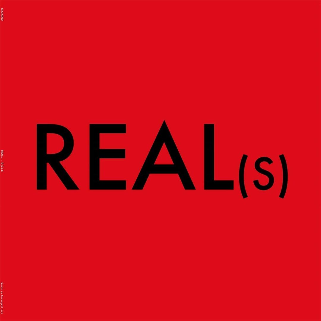 D.S.L.B. cover art