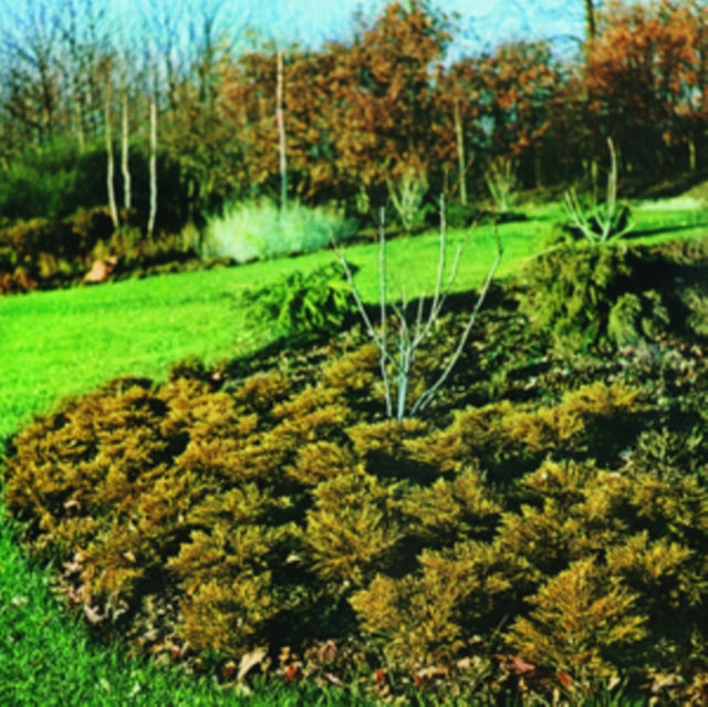 MAXIMUM GROWTH AND VIGOUR cover art