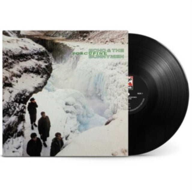 PORCUPINE cover art