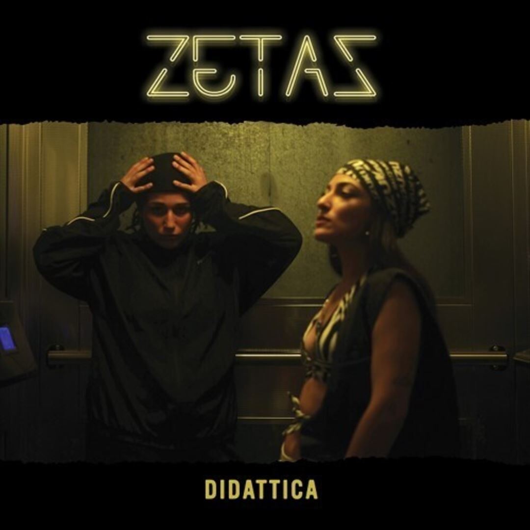 Didattica cover art