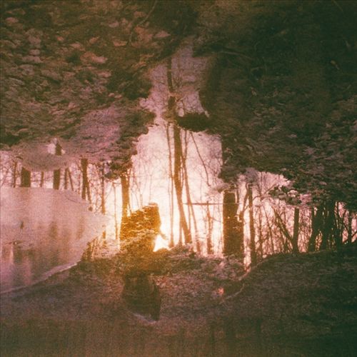 Auburn Rule cover art