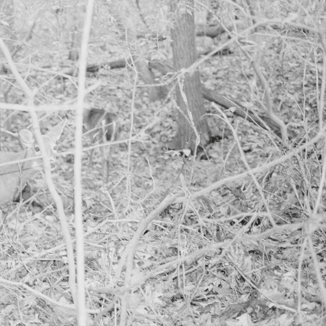 Bones for Time cover art