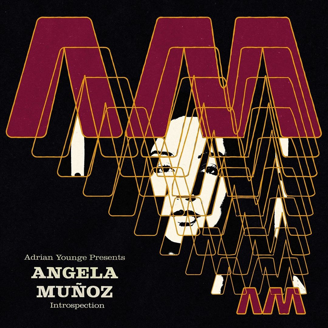Introspection cover art