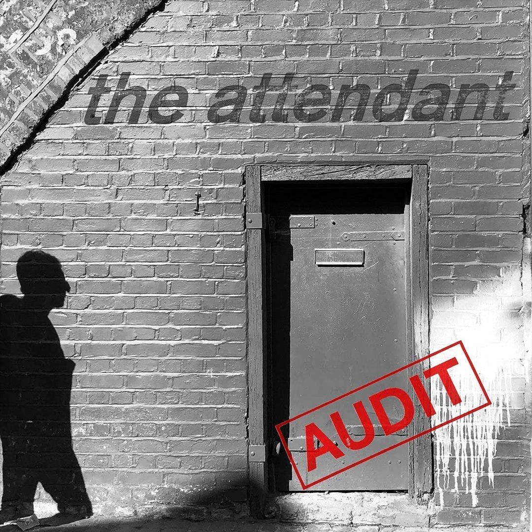 Audit cover art