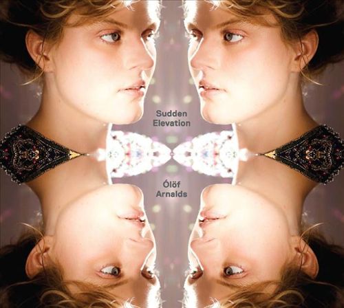 Sudden Elevation cover art