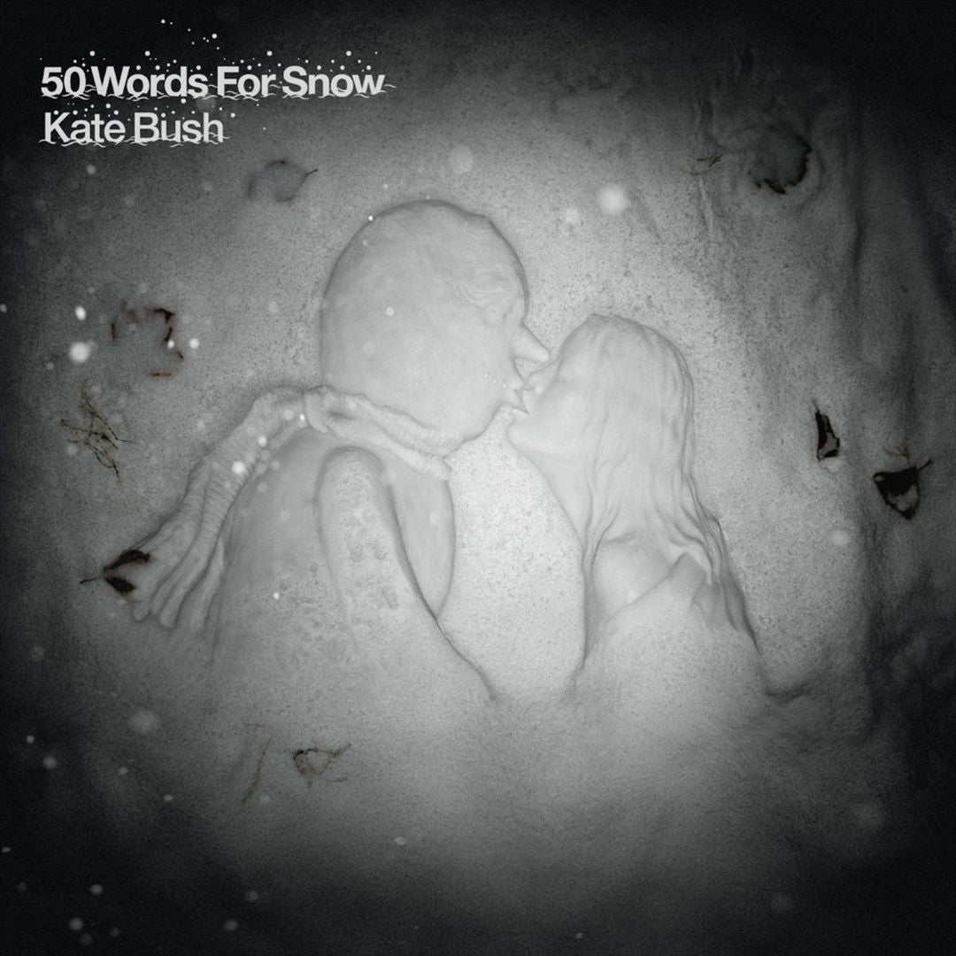 50 Words for Snow cover art