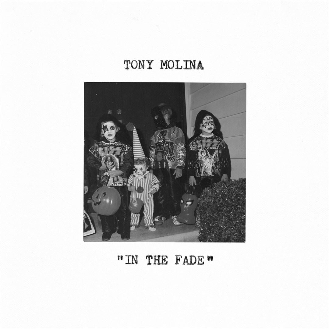 In the Fade cover art