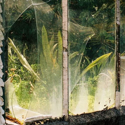 Reshaped Distortion cover art