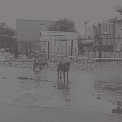 After Its Own Death/Walking in a Spiral Towards the House cover art