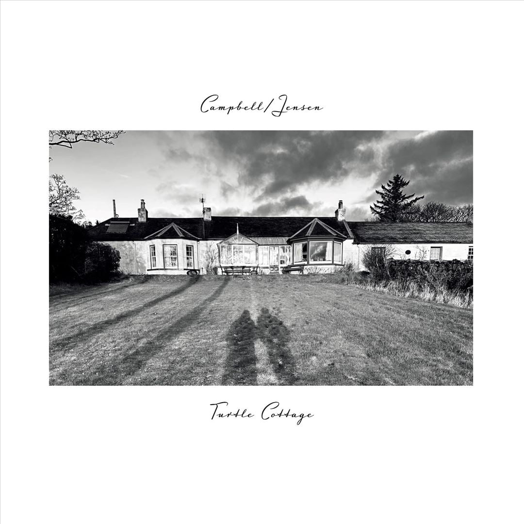 Turtle Cottage cover art
