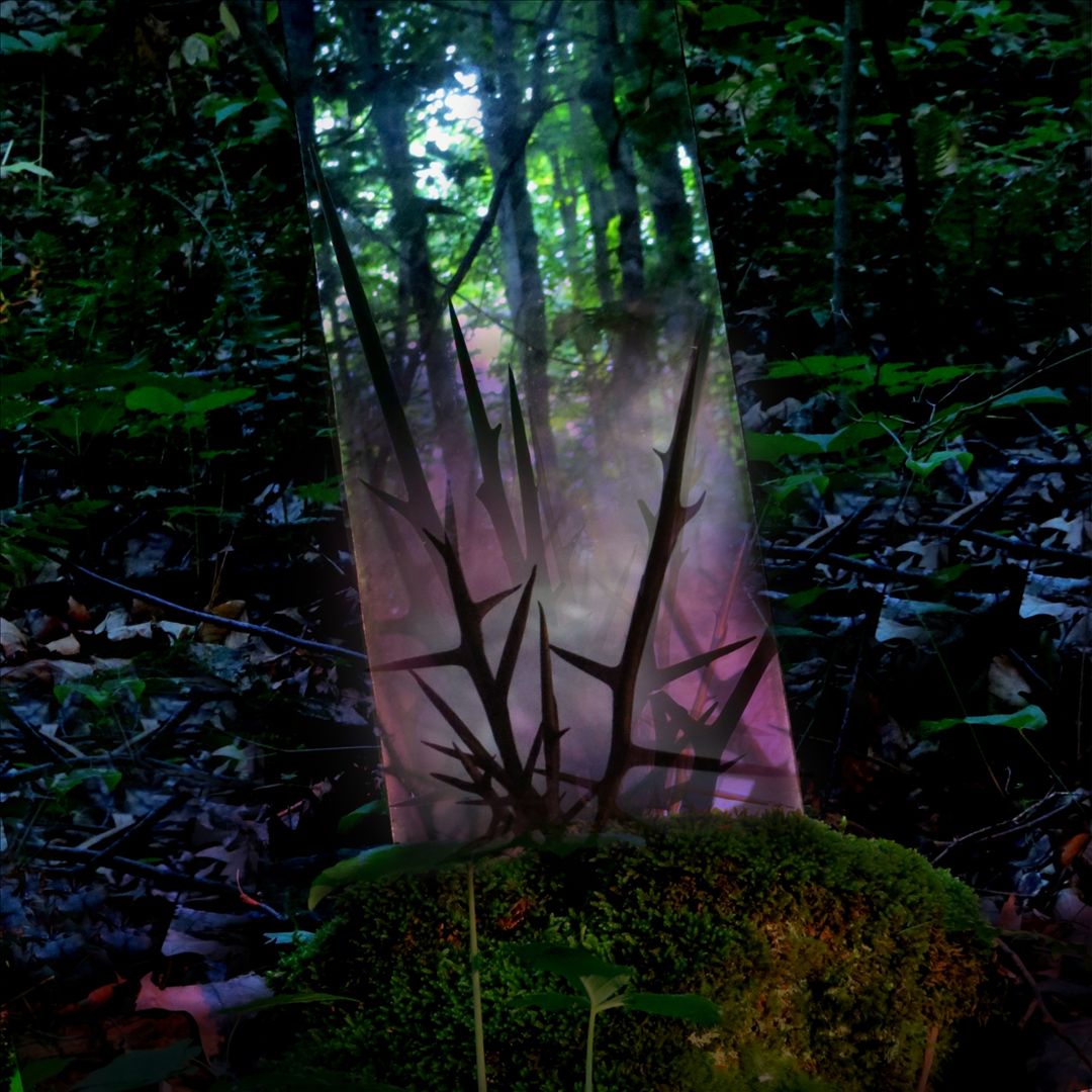 Stealth of Days cover art