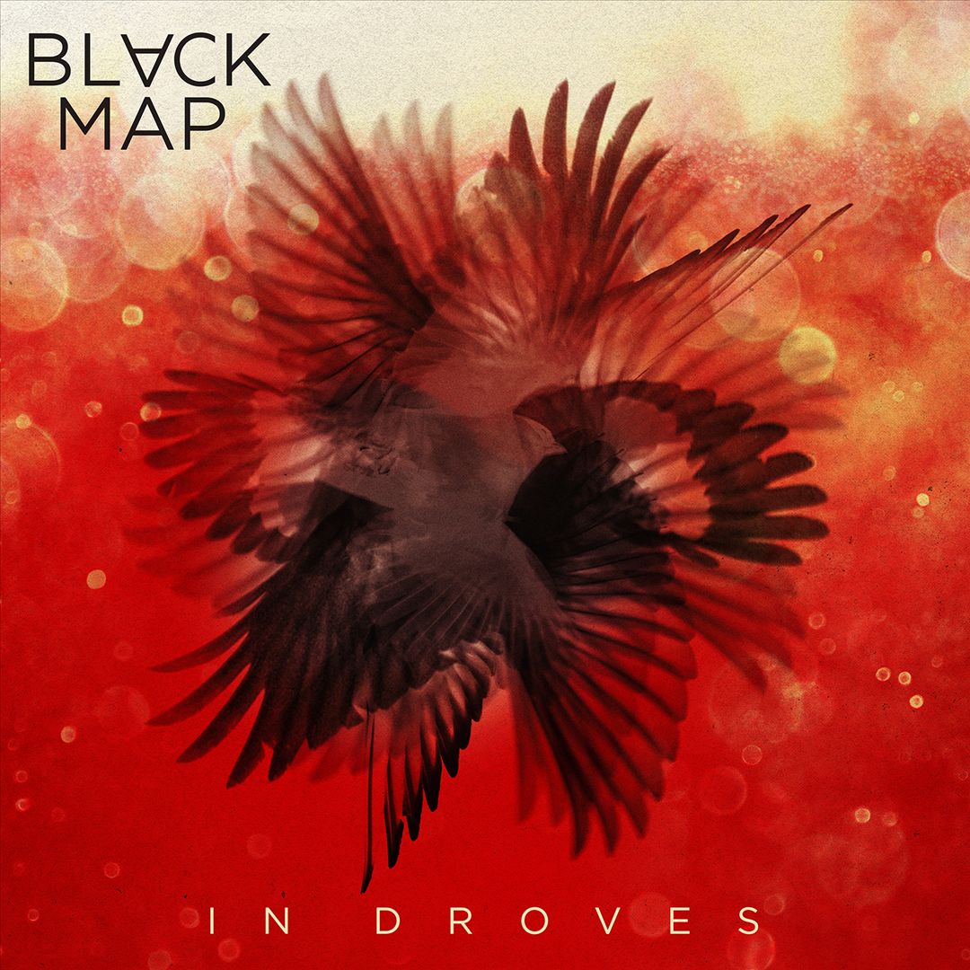 In Droves cover art