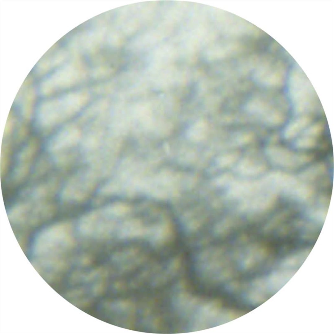 Cafe Nostalgia cover art