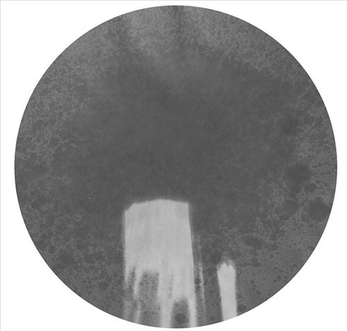 Blue Twelve cover art