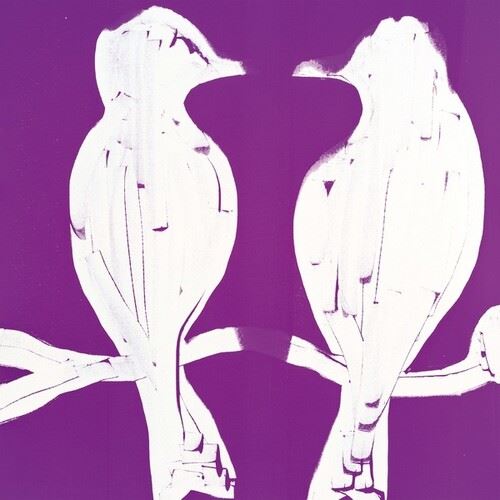 Addio Mondo Nuovo cover art