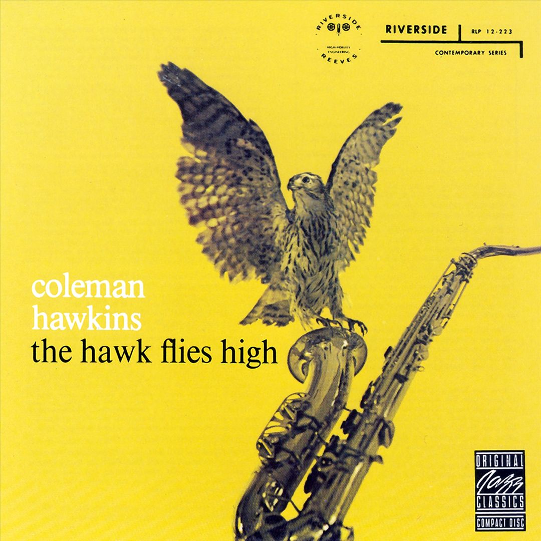 Hawk Flies High cover art