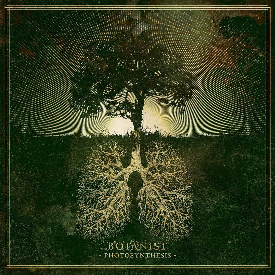Photosynthesis cover art