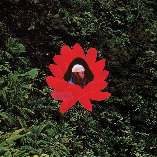 When the Flowers Bloom cover art