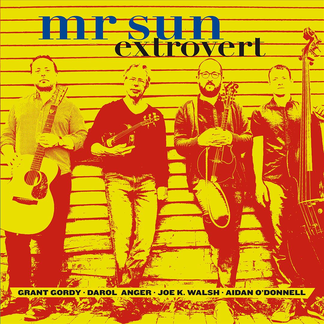 Extrovert cover art
