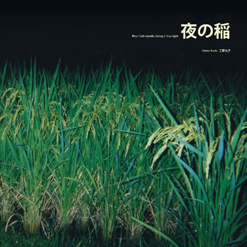 Rice Field Silently Riping in the Night cover art