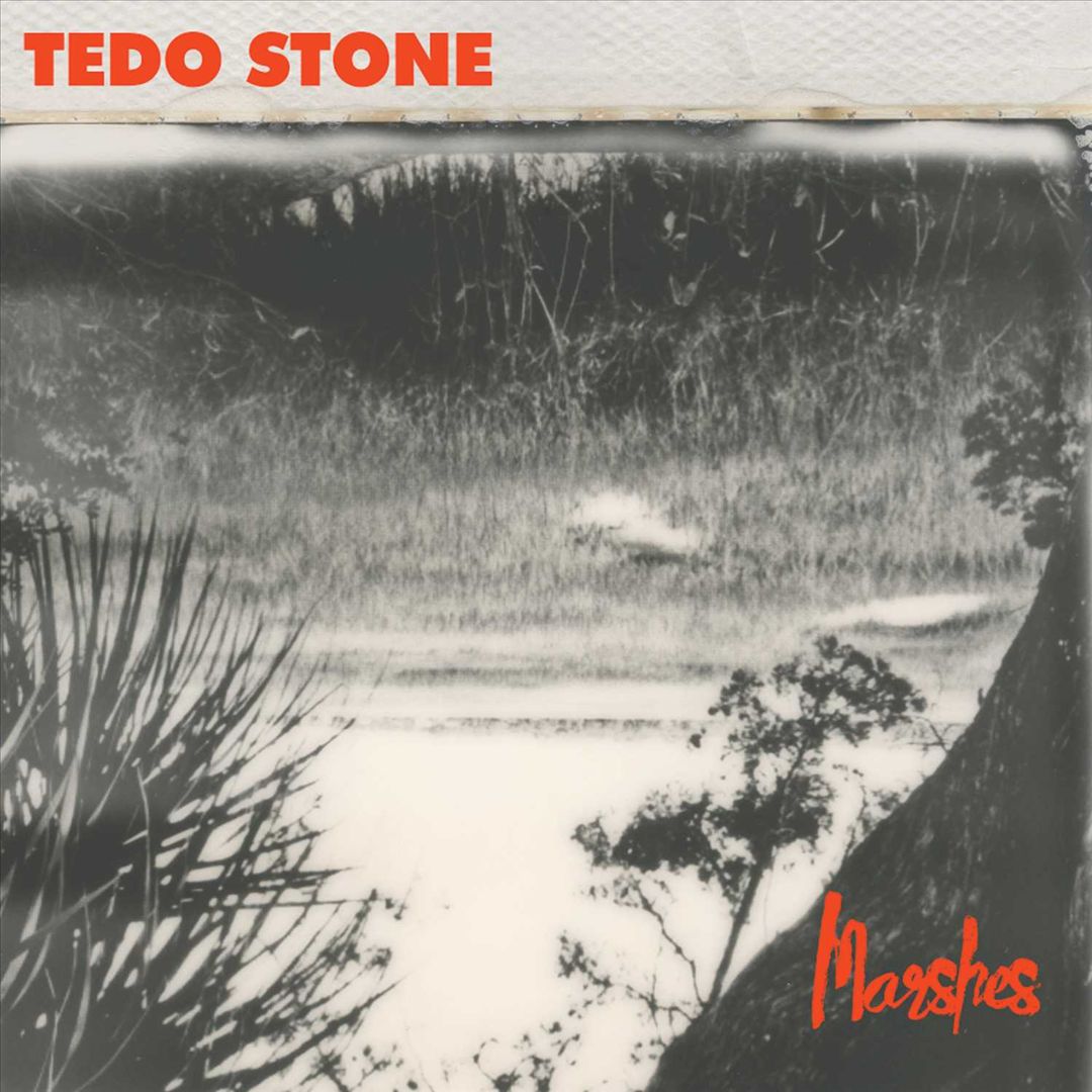 Marshes cover art