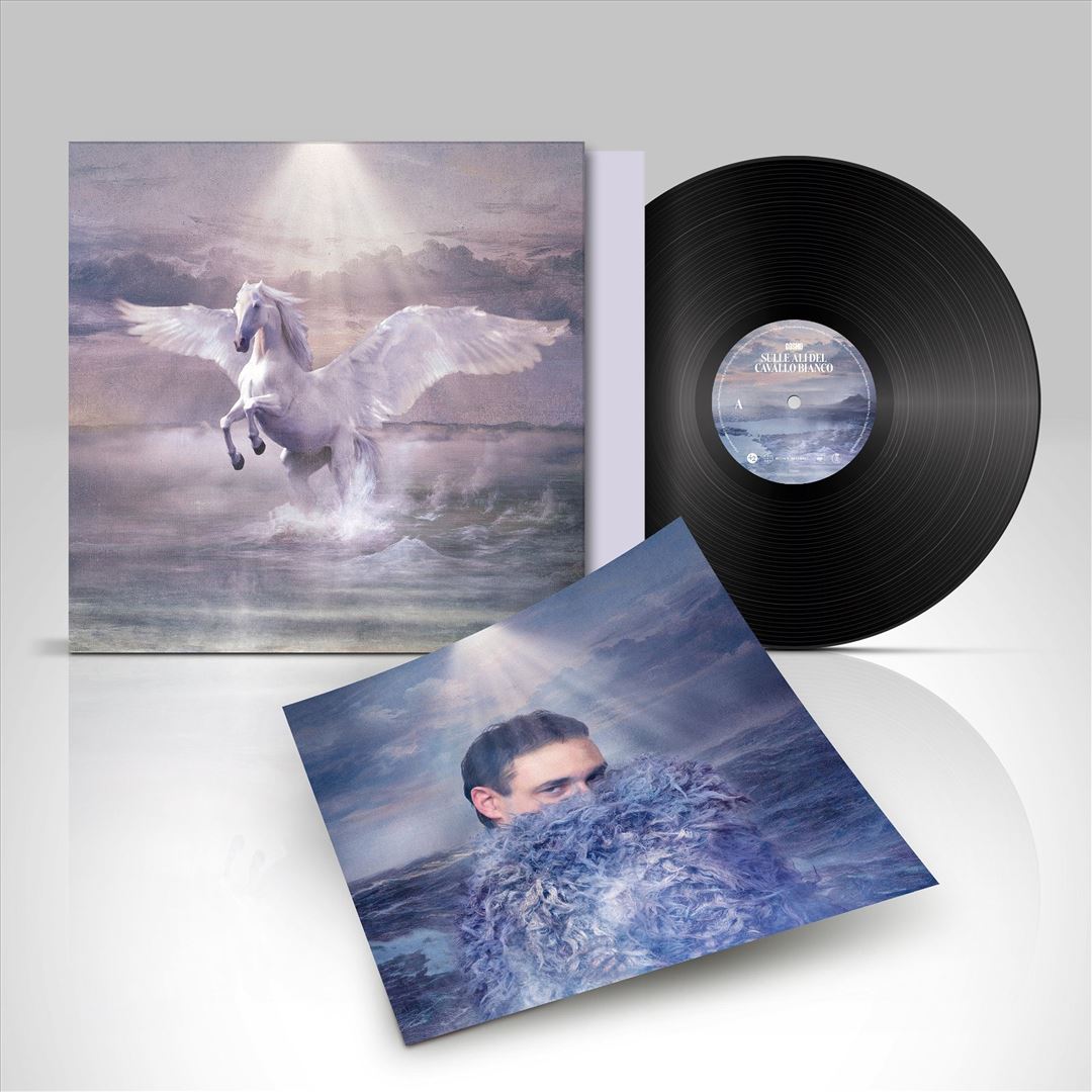 Sulle ali del cavallo bianco cover art