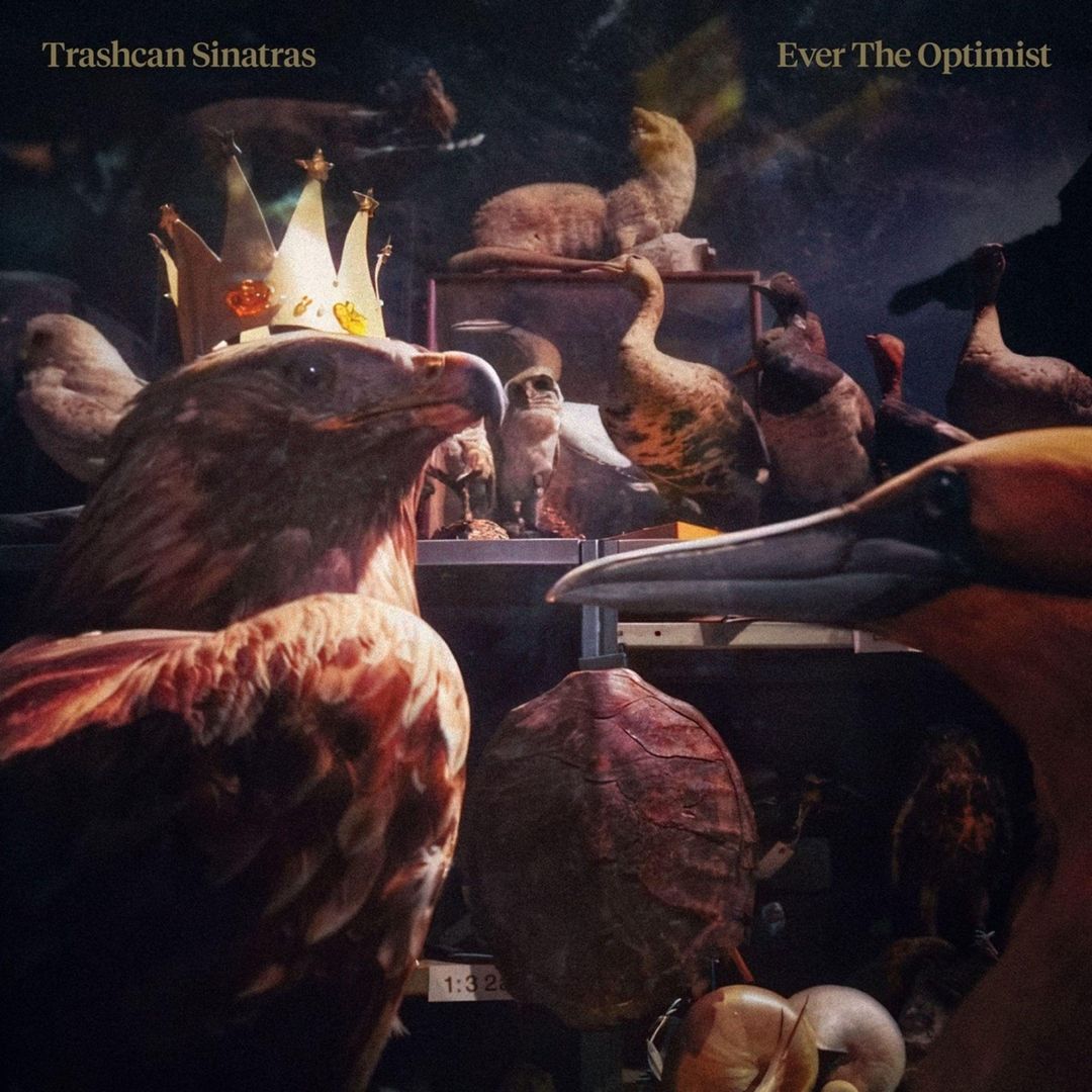 Ever the Optimist cover art