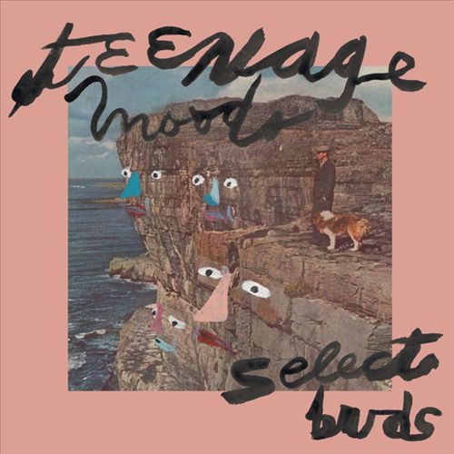 Select Buds cover art