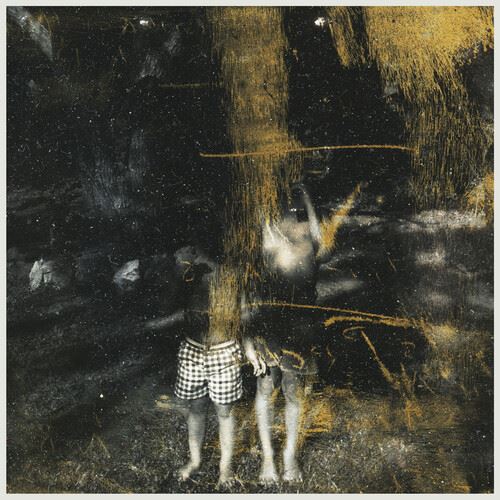 Voids cover art
