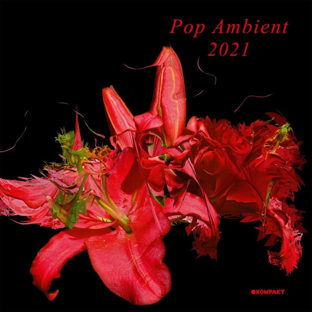Pop Ambient 2021 cover art