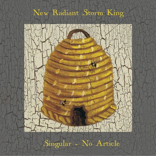 Singular, No Article cover art