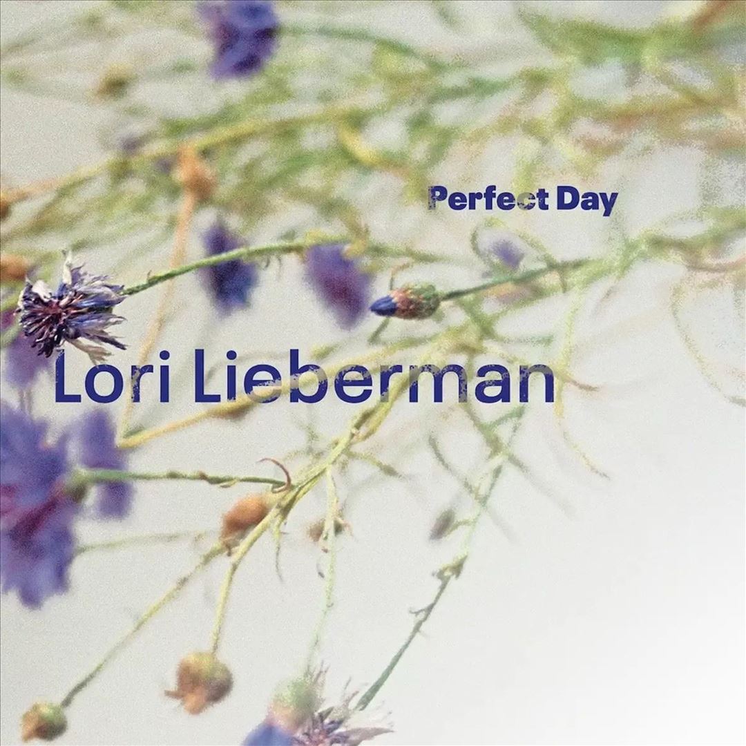 Perfect Day cover art