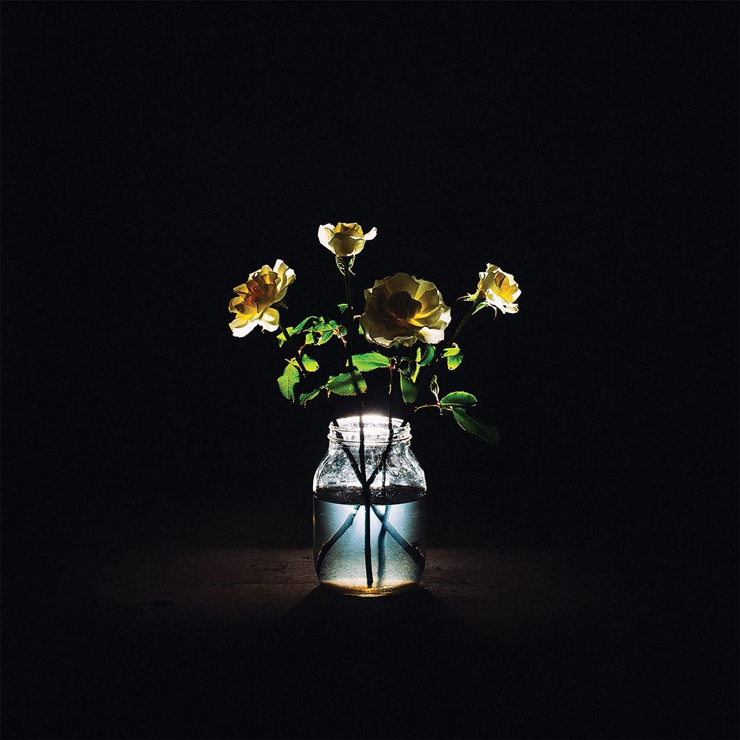 Renewal cover art