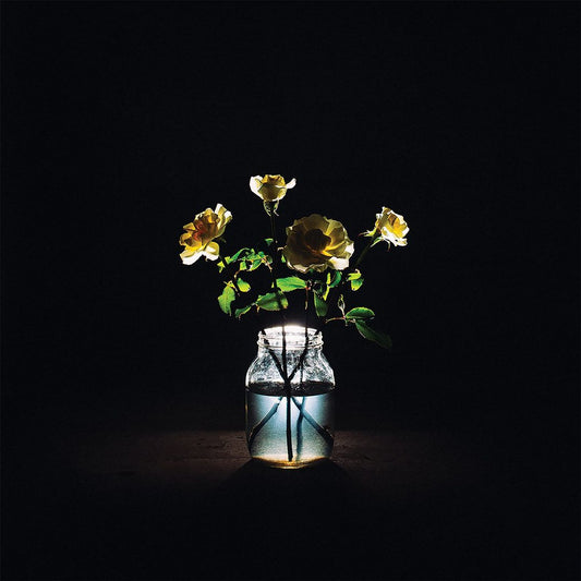 Renewal cover art