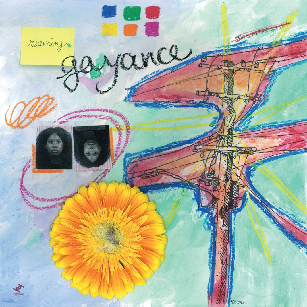 Roaming cover art
