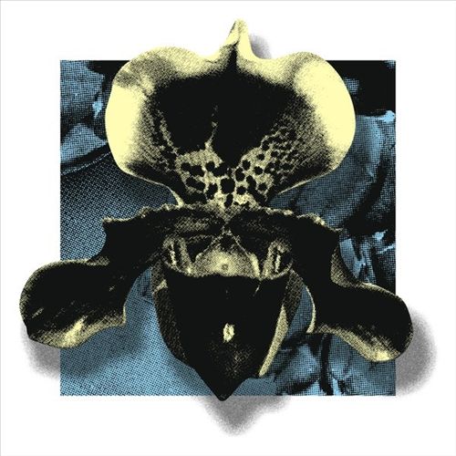 NOWHERE02 cover art
