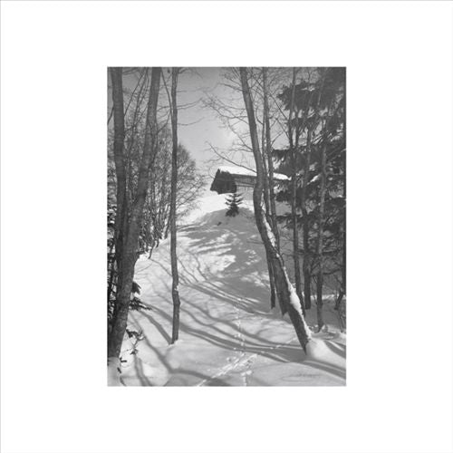 Path of Ruin cover art